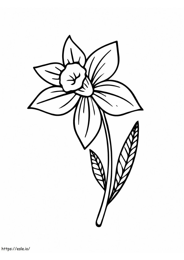 Kwiat Żonkila kolorowanka