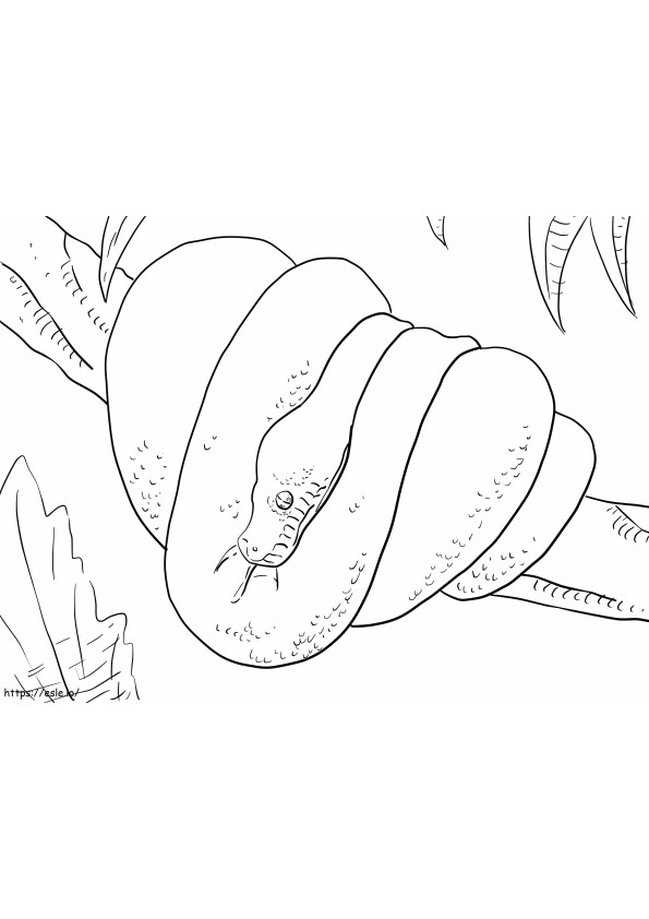 Green Tree Python coloring page