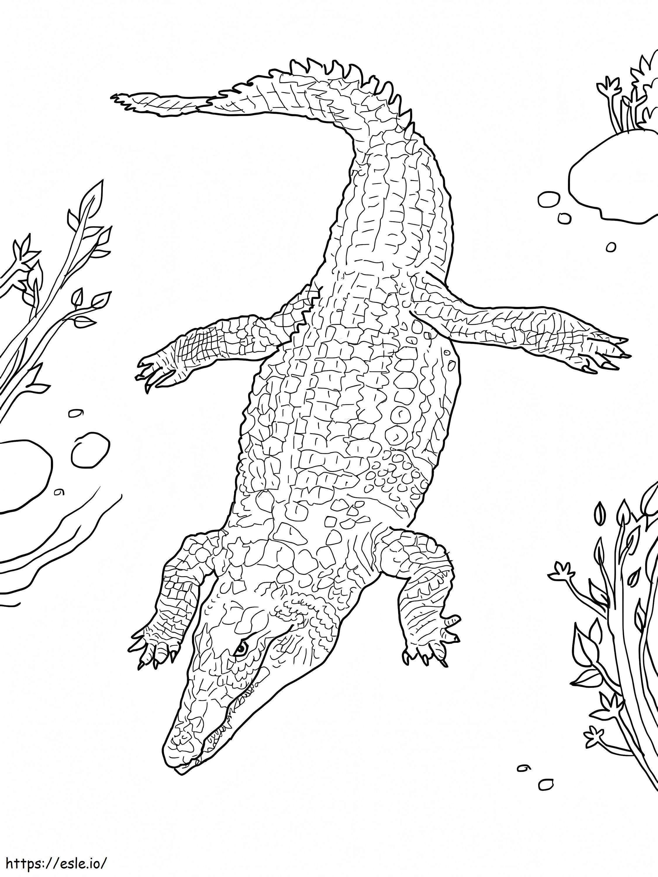 Nyomtatható Nílusi krokodil kifestő