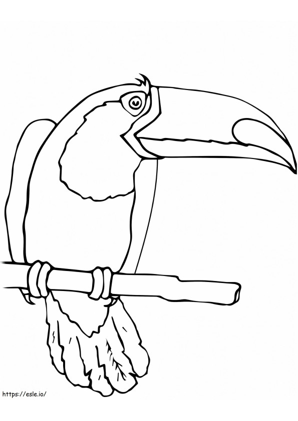 Coloriage Oiseau toucan 1 à imprimer dessin