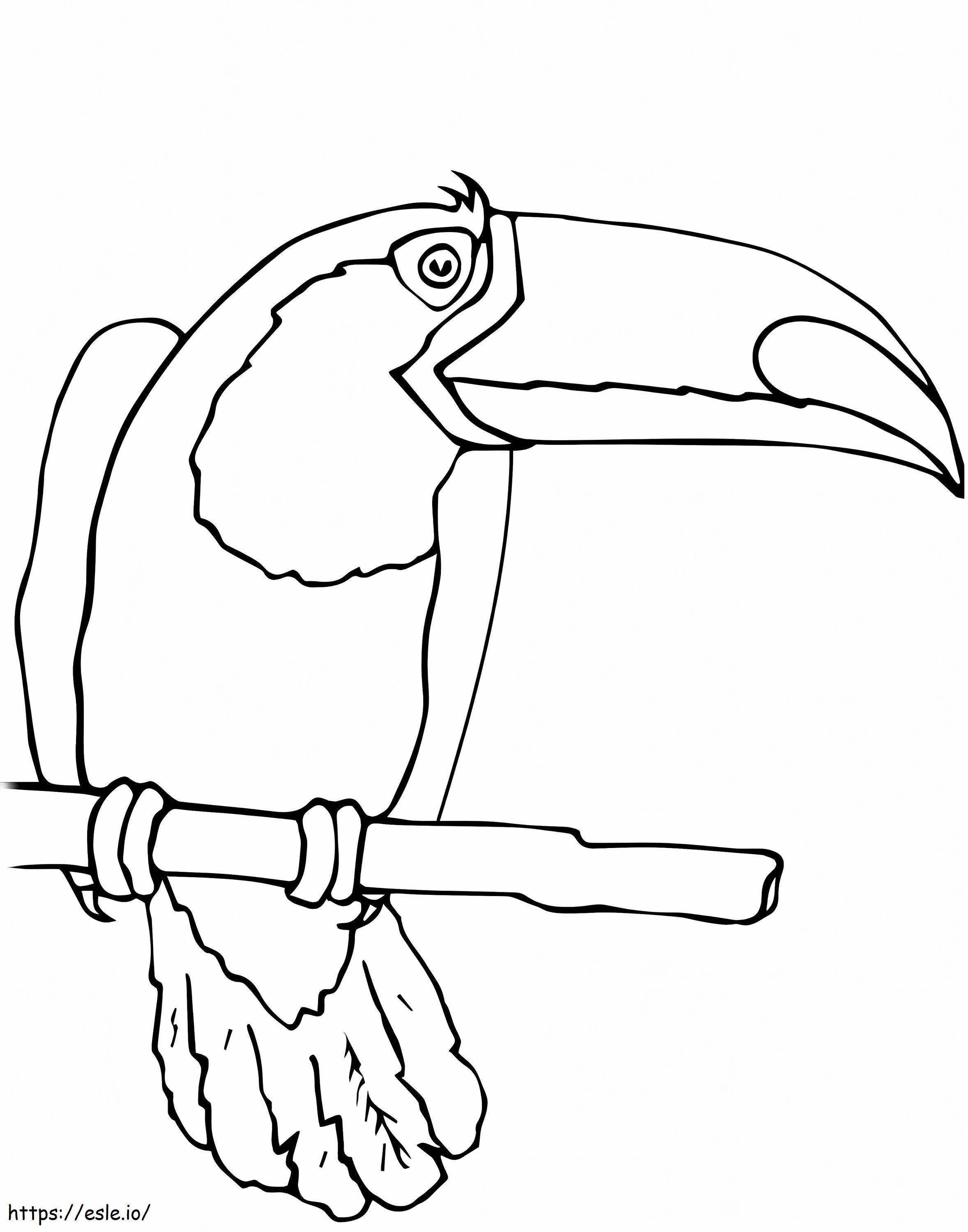 Pássaro Tucano 1 para colorir