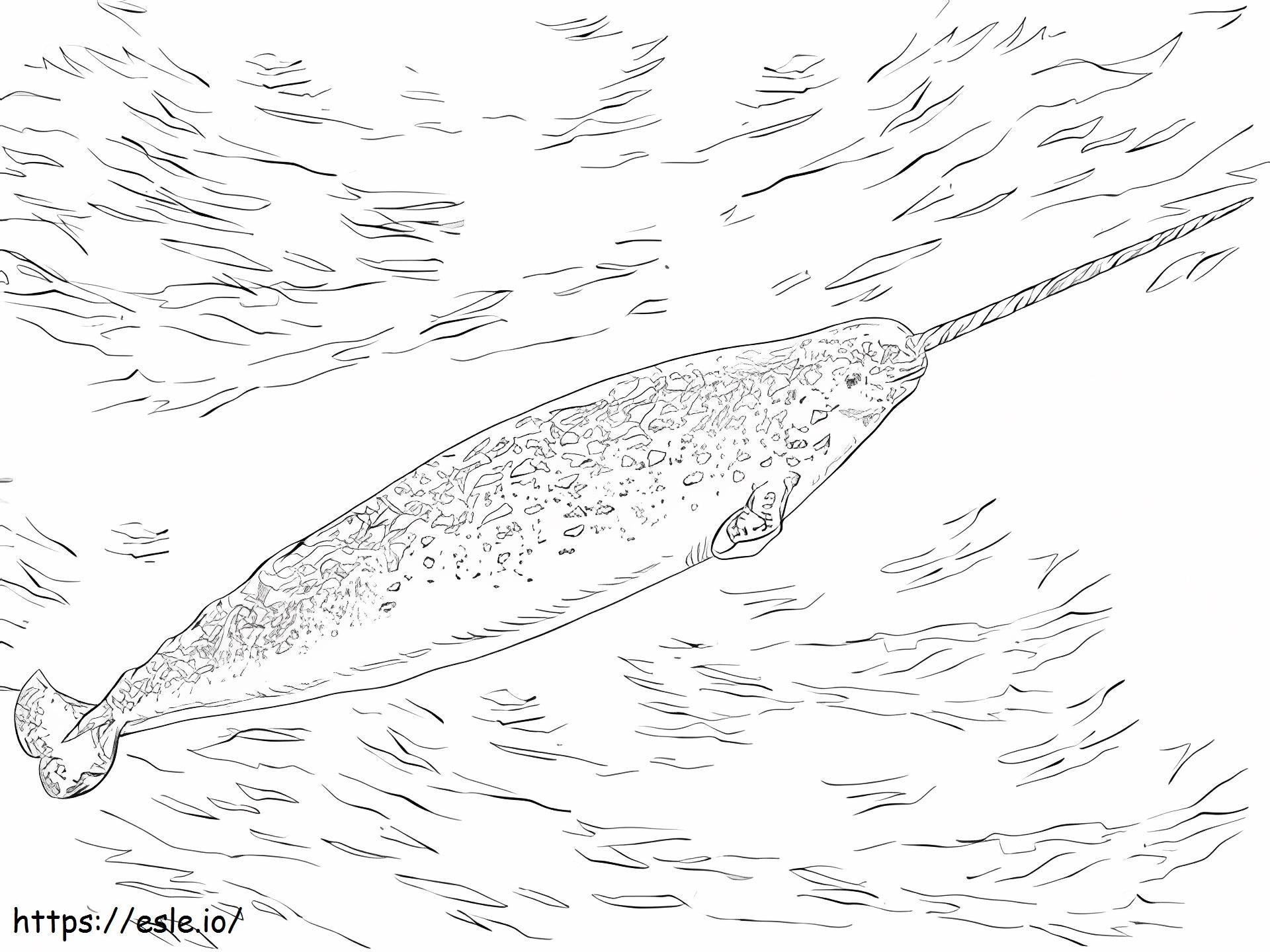 Narwhal Swimming A4 coloring page