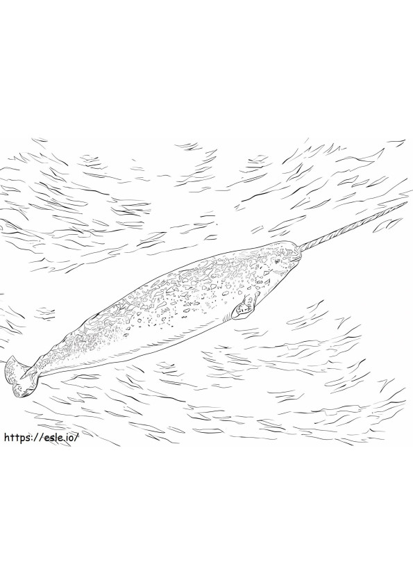 Narwhal Swimming A4 coloring page