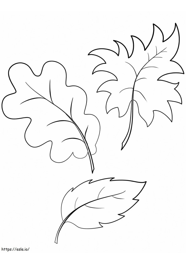 Fall Leaves 5