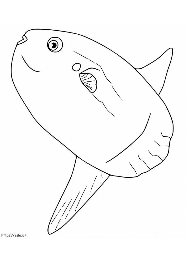 Big Sunfish coloring page