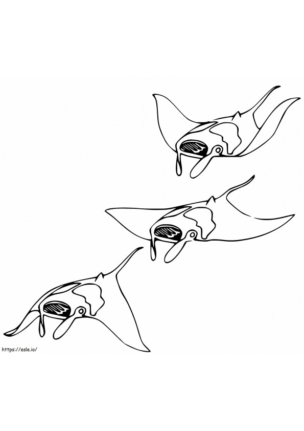 Tres mantarrayas