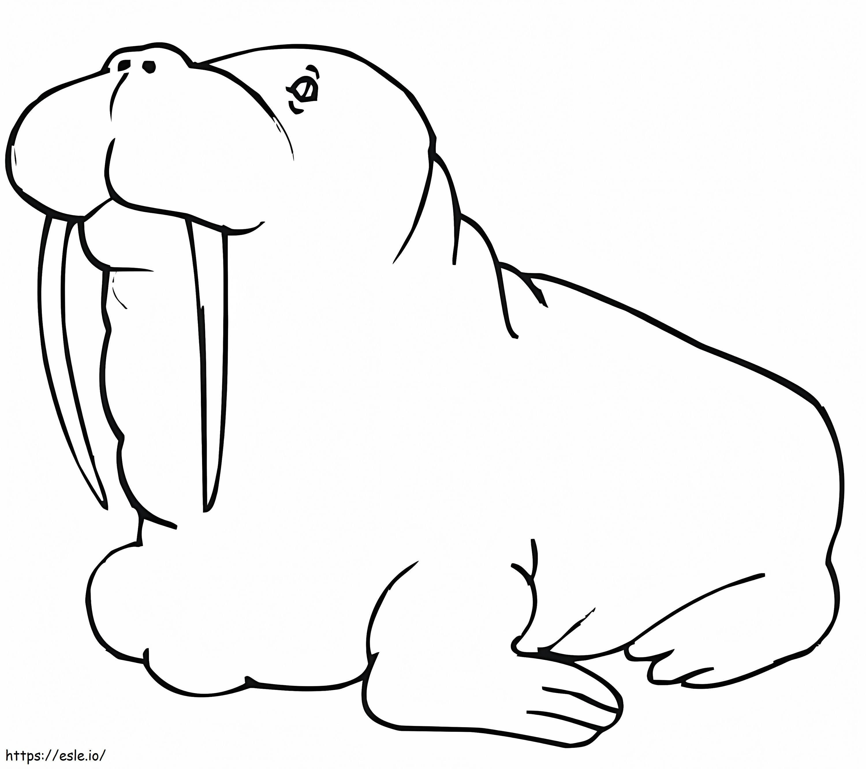 Ein dickes Walross ausmalbilder