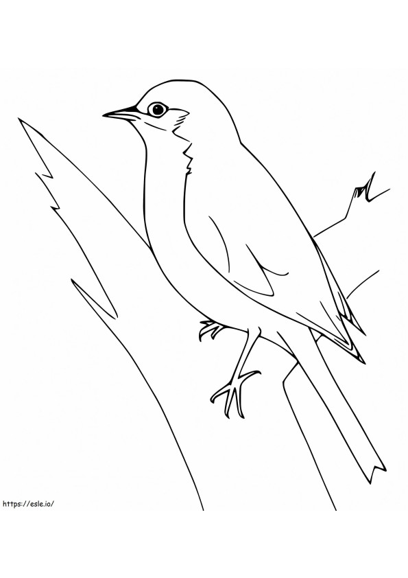 Bluebird On A Tree coloring page