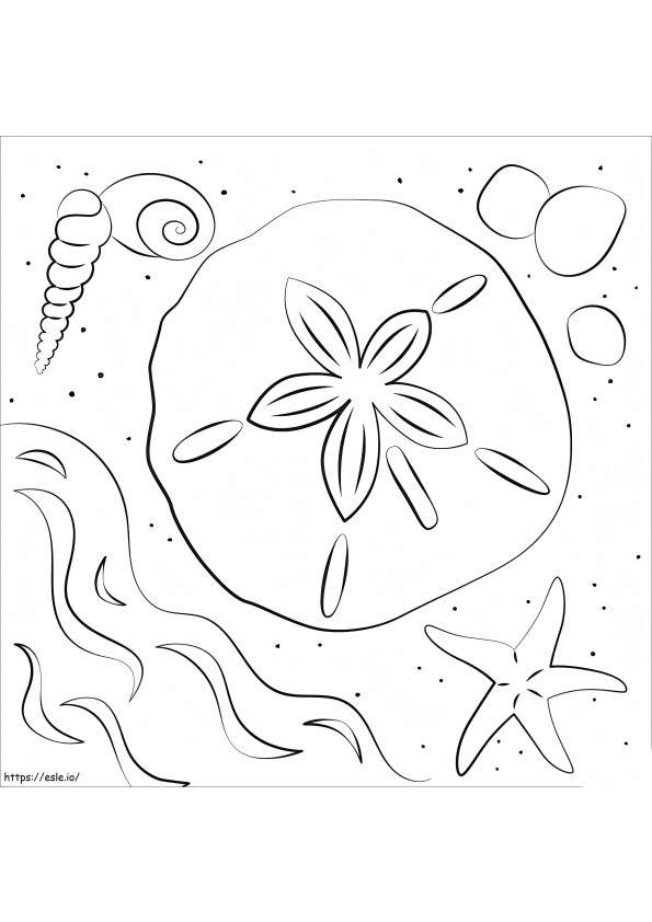 Sand Dollar On The Beach coloring page