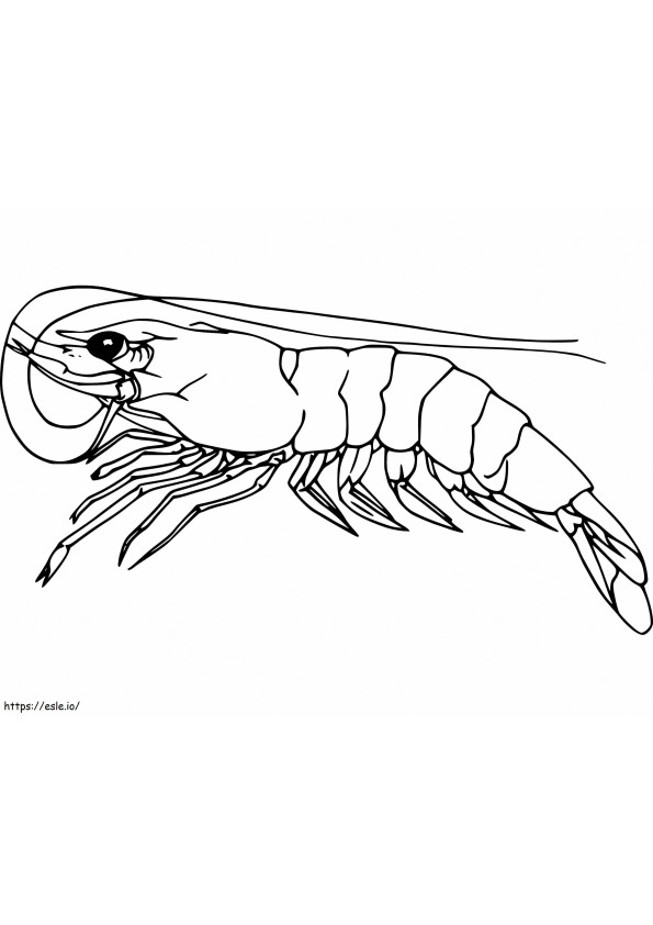 Realistic Prawn coloring page