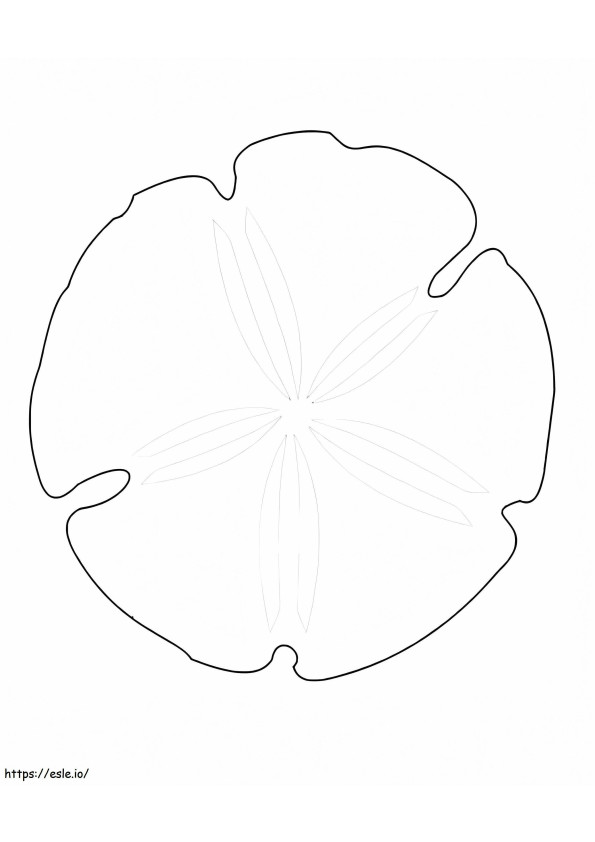 Sand Dollar 10 coloring page