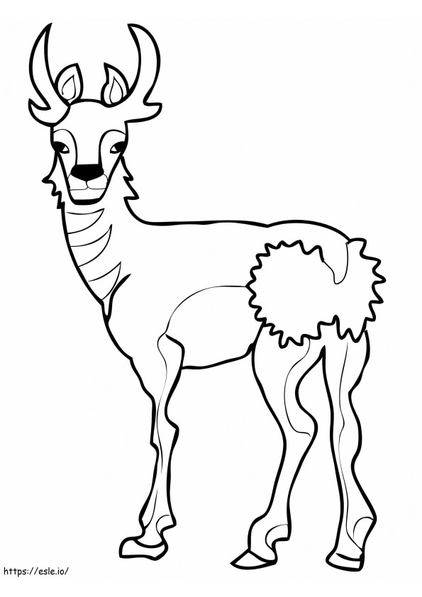 North American Pronghorn coloring page