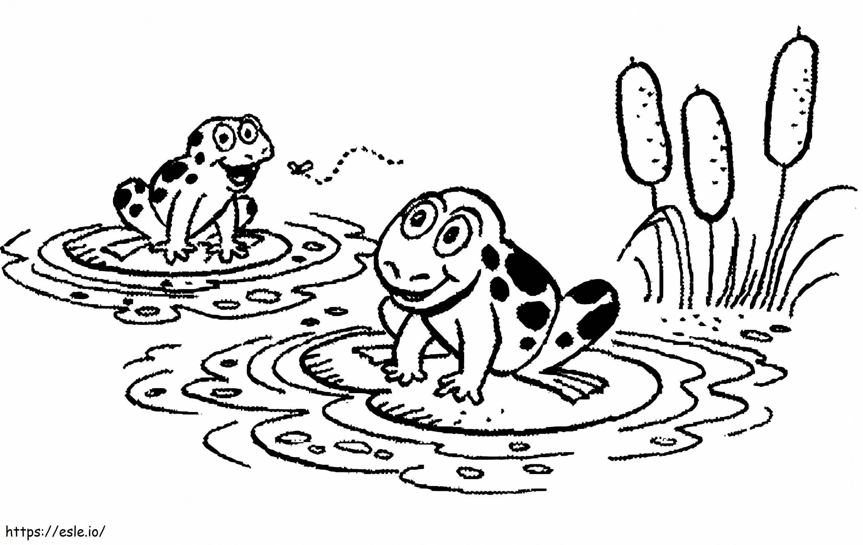 Frog On Lily Pad coloring page