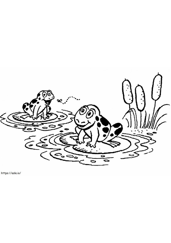 Frog On Lily Pad coloring page
