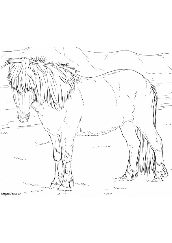 Realistic Icelandic Horse coloring page