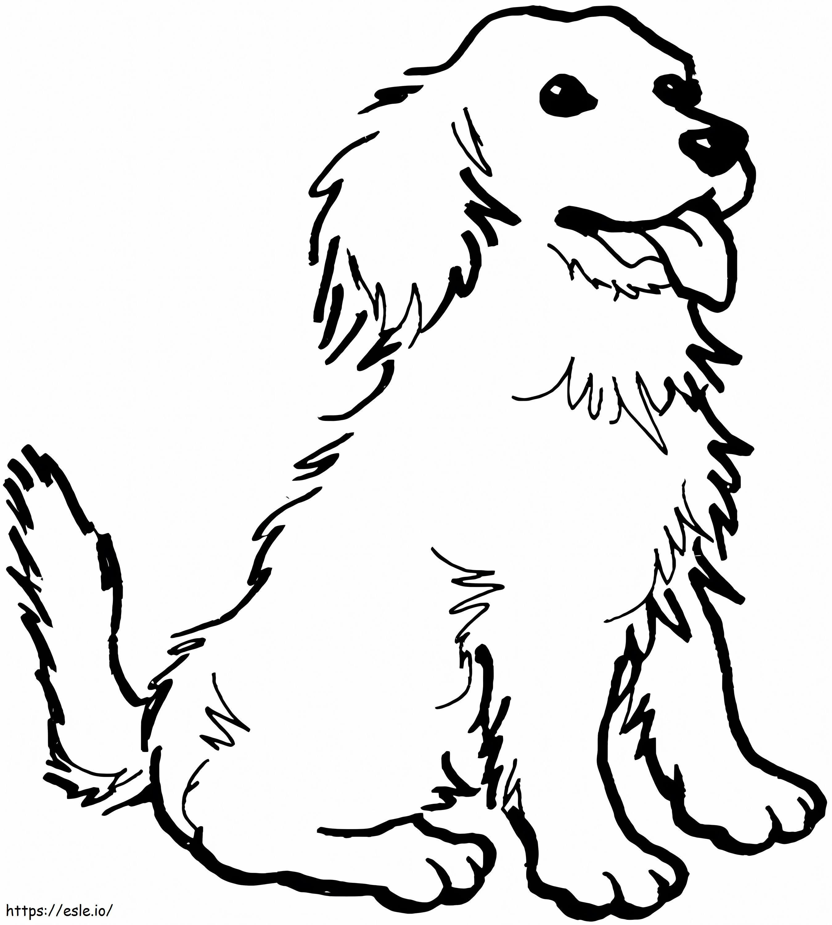 Zittende hond kleurplaat kleurplaat