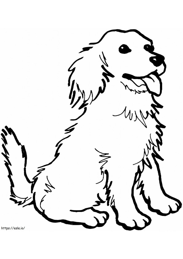 Sitting Dog coloring page