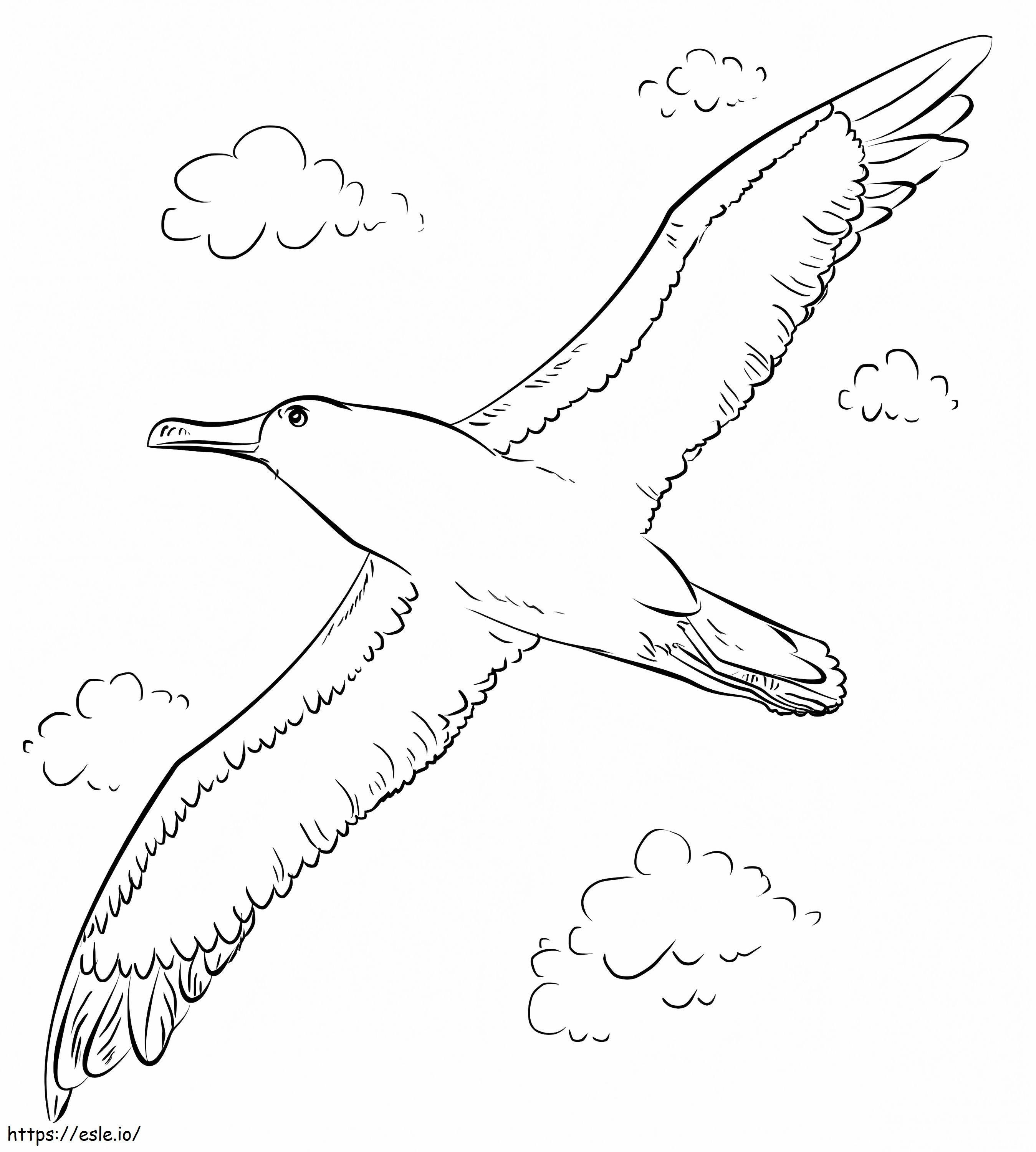 Bullers Albatross Flying coloring page