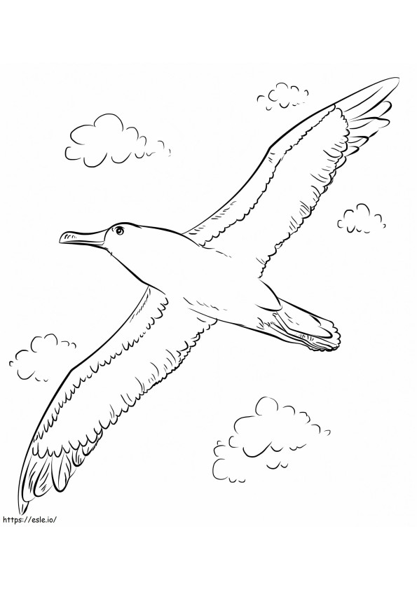 Albatros de Buller volando para colorear
