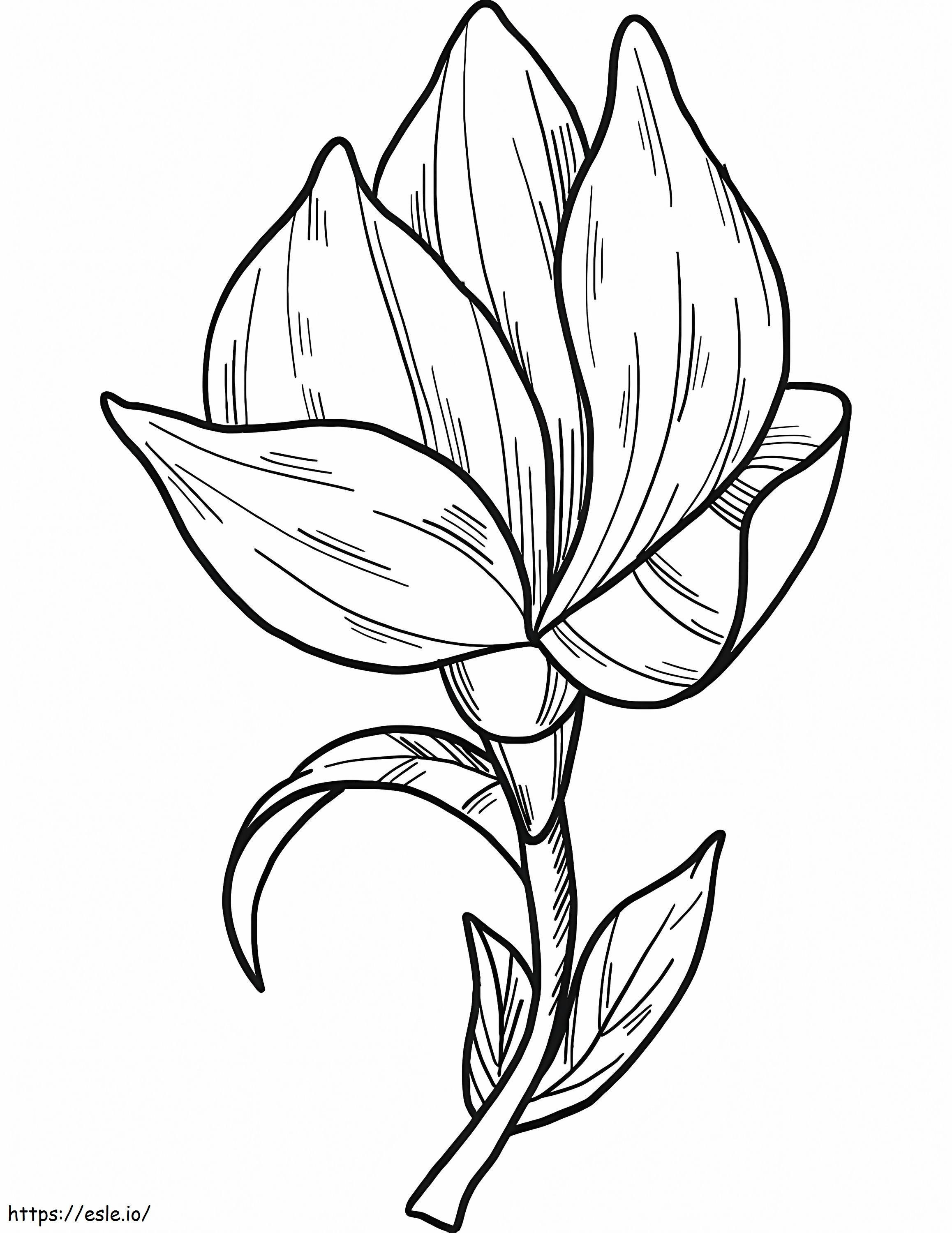 Flor de magnolia 6 para colorear