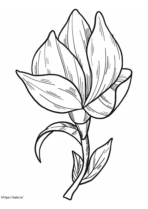 Flor de magnolia 6 para colorear