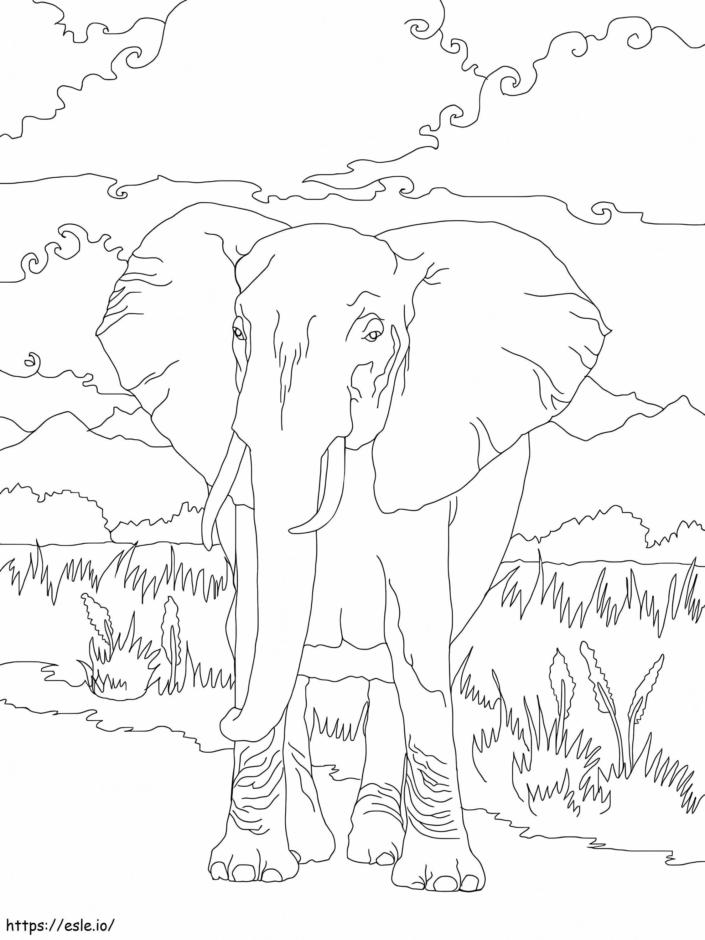 アフリカのブッシュゾウ 1 ぬりえ - 塗り絵