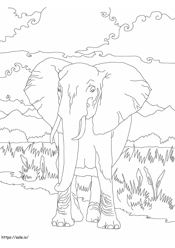 Elefante africano de sabana 1 para colorear