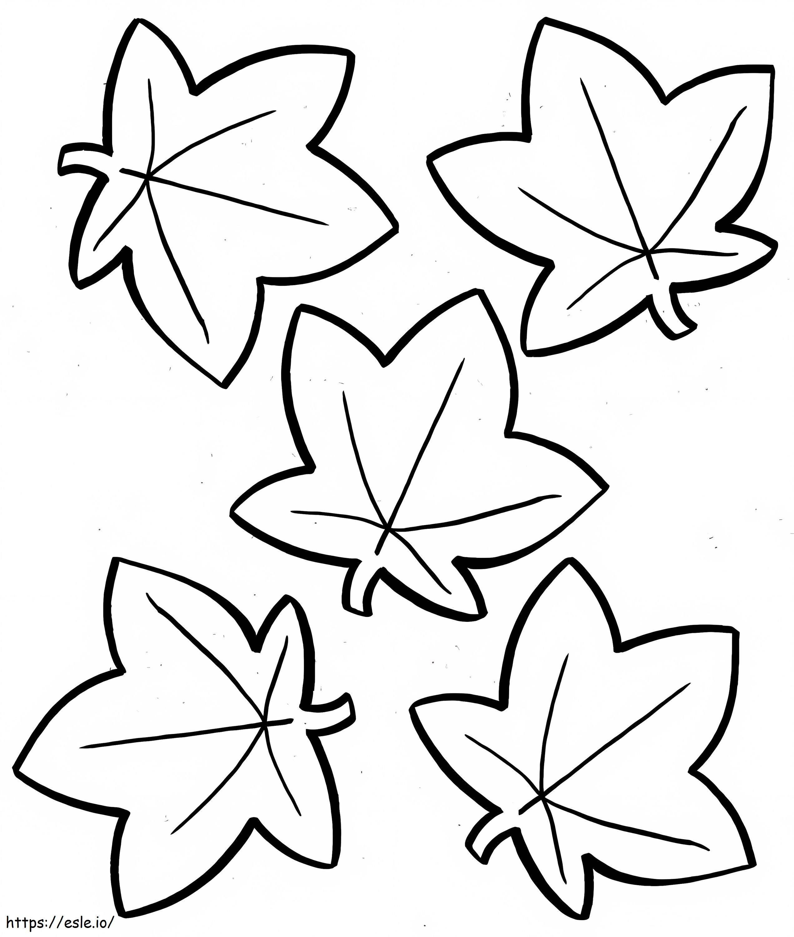 jesienne liście 12 kolorowanka