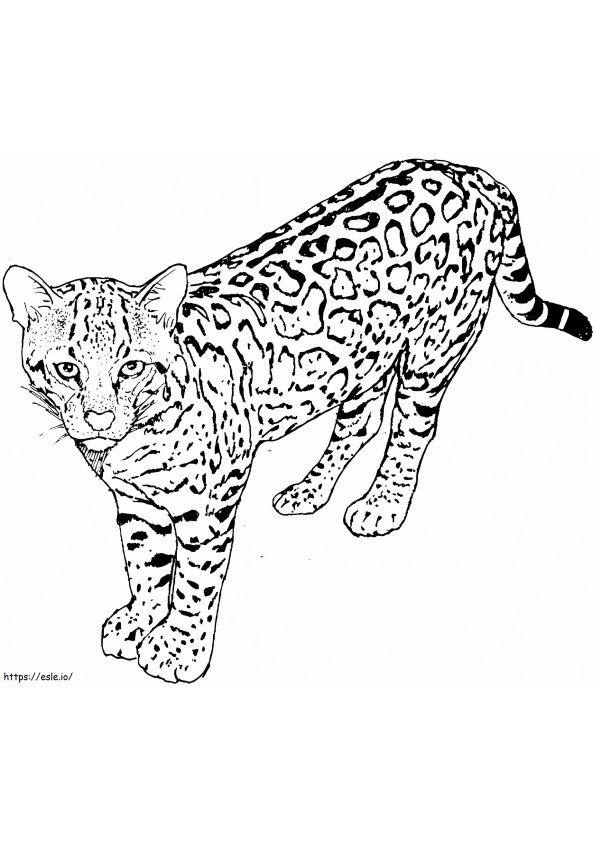 Leopard 9 de colorat