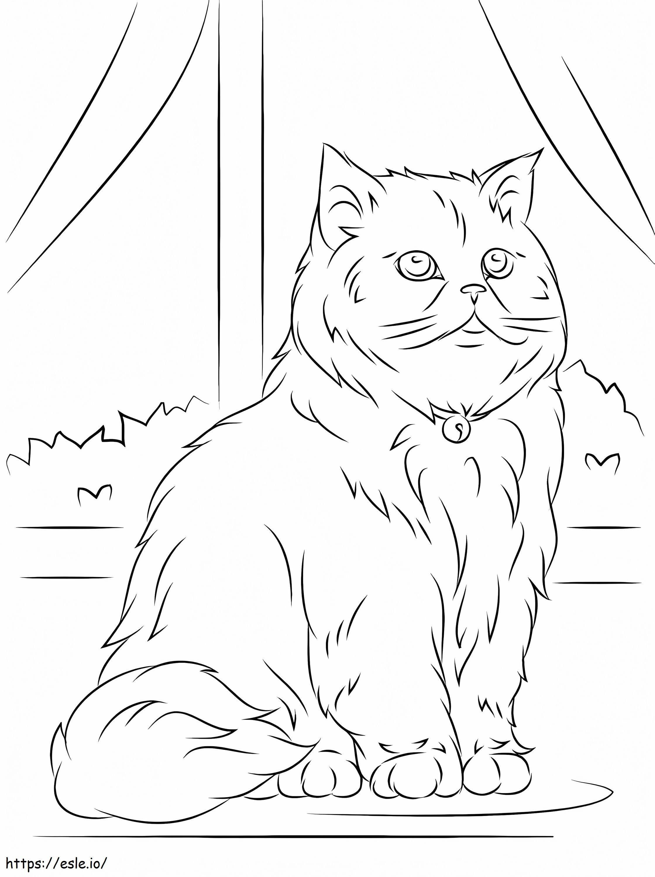 Persian Cat coloring page