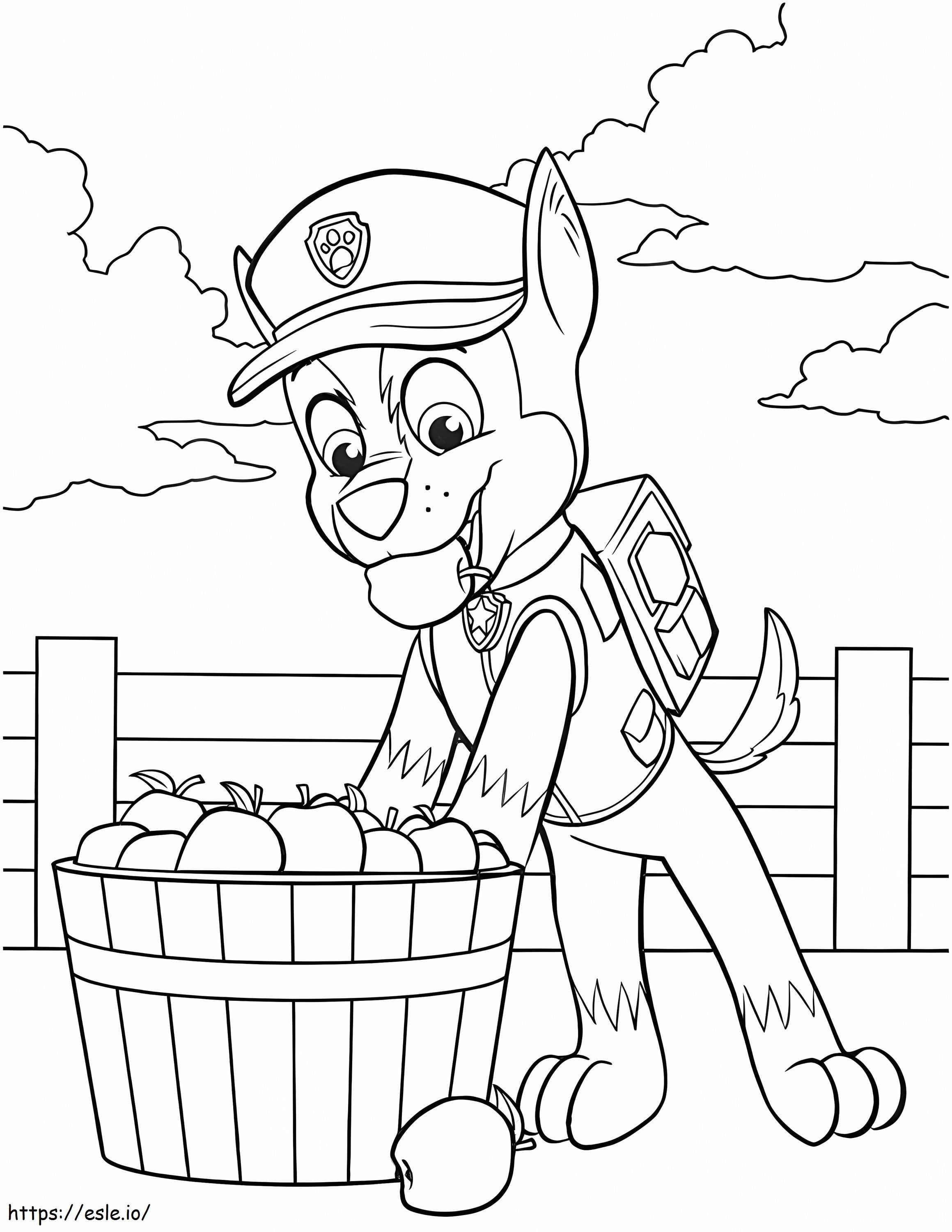 Chase Harvesting Apple coloring page
