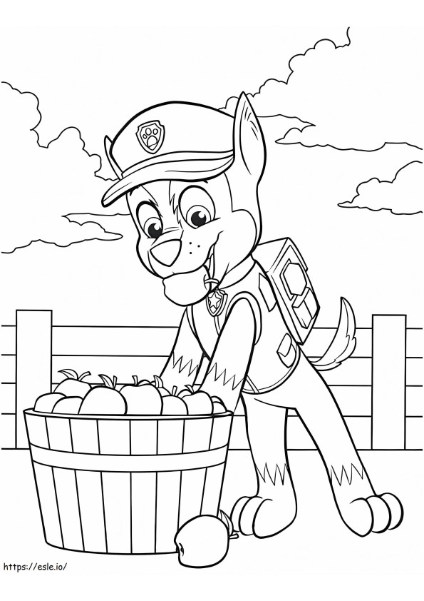 Chase zbiera jabłko kolorowanka
