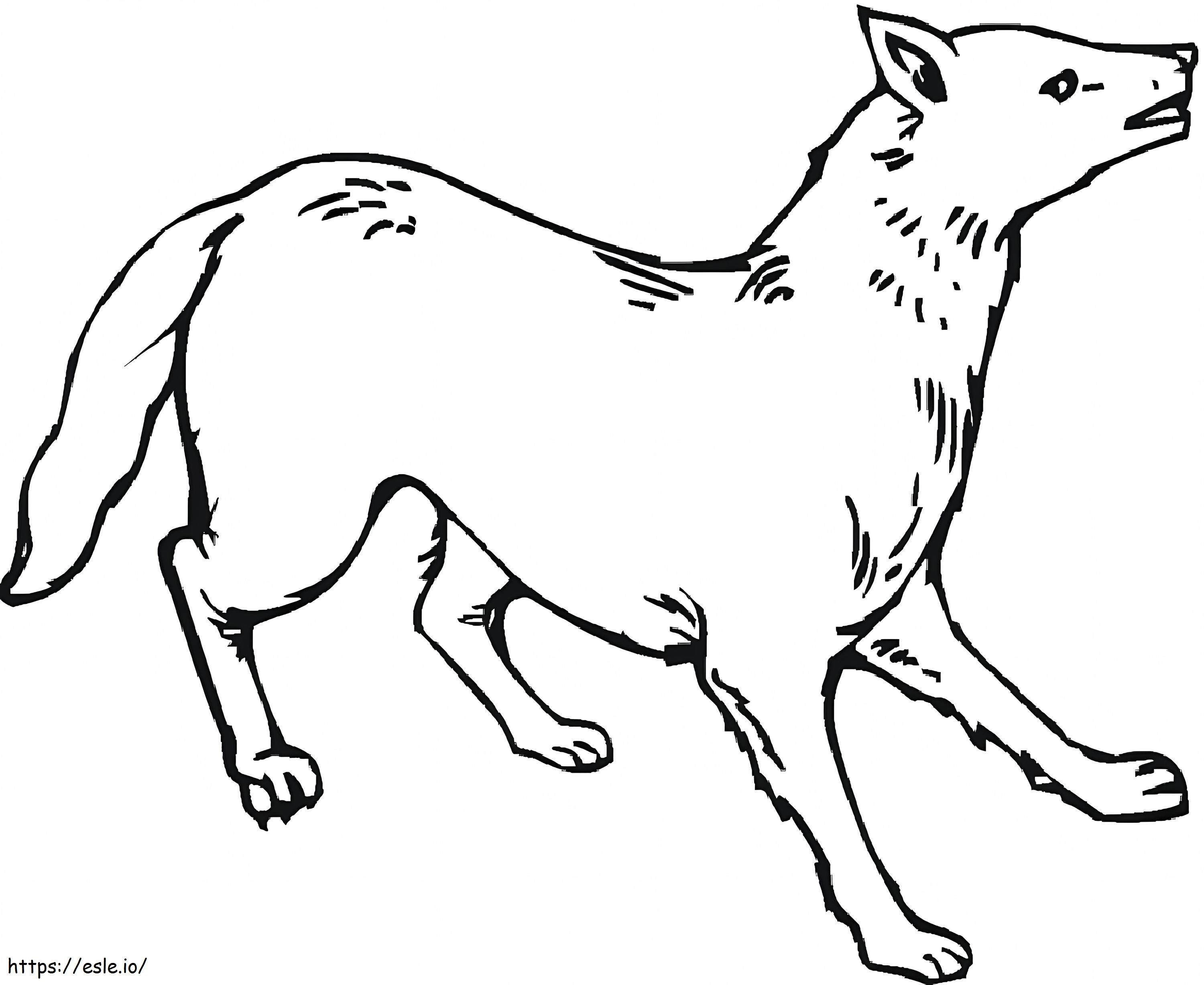 Free Coyote coloring page