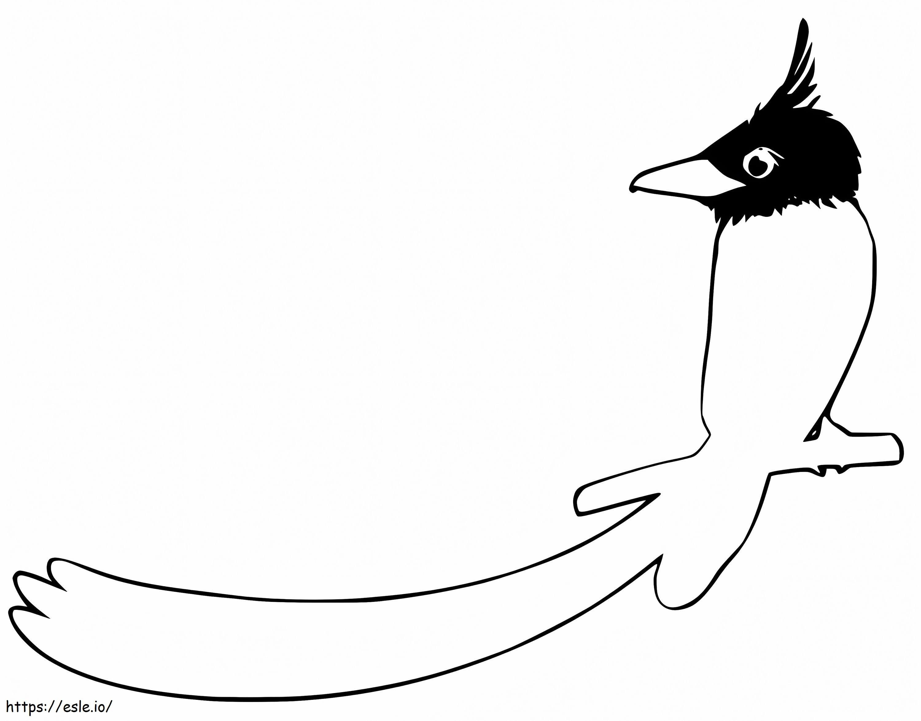 Bird Of Paradise Printable coloring page