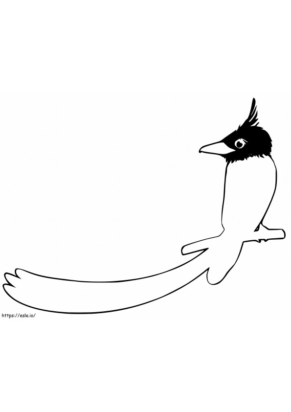 Bird Of Paradise Printable coloring page