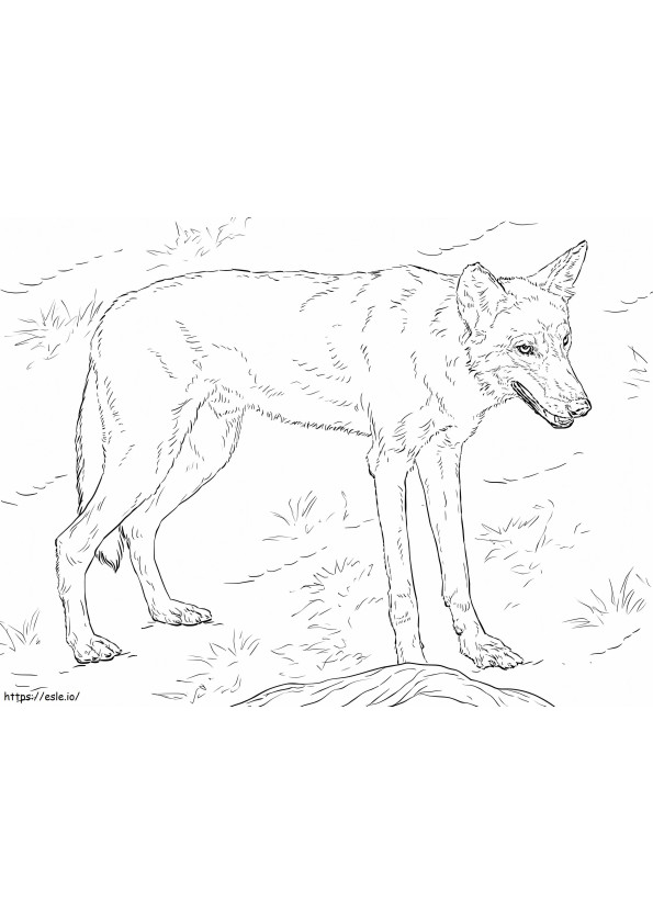 Loup Rouge 1024X768 coloring page