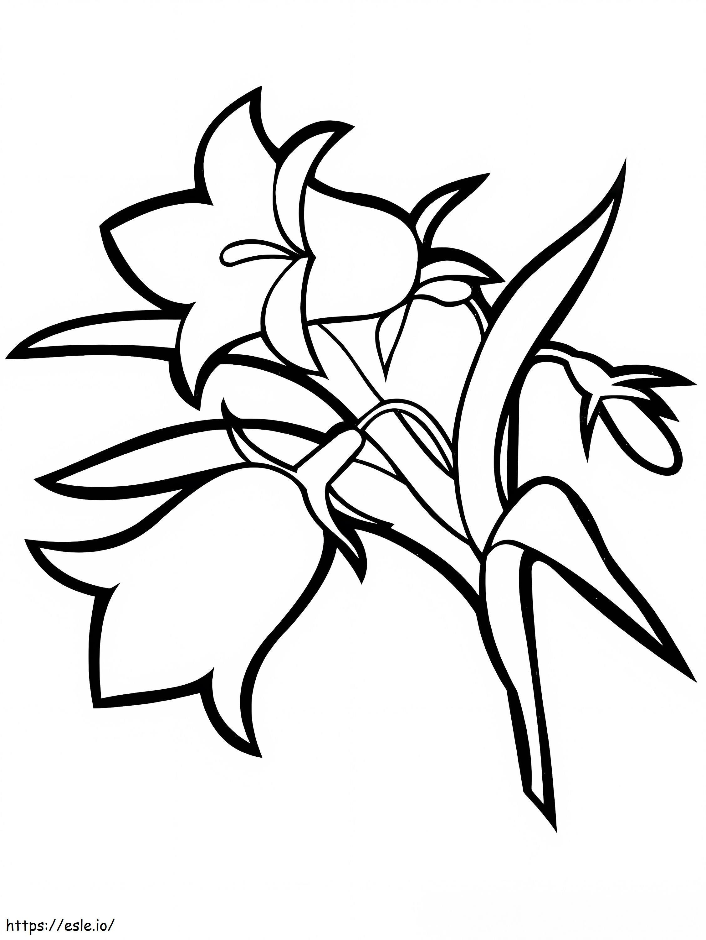 Campanula-bloemen 9 kleurplaat kleurplaat