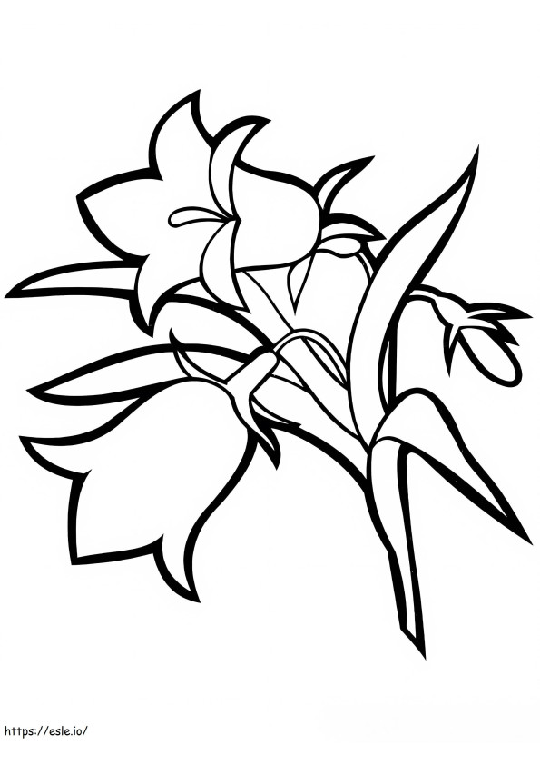 カンパニュラの花 9 ぬりえ - 塗り絵
