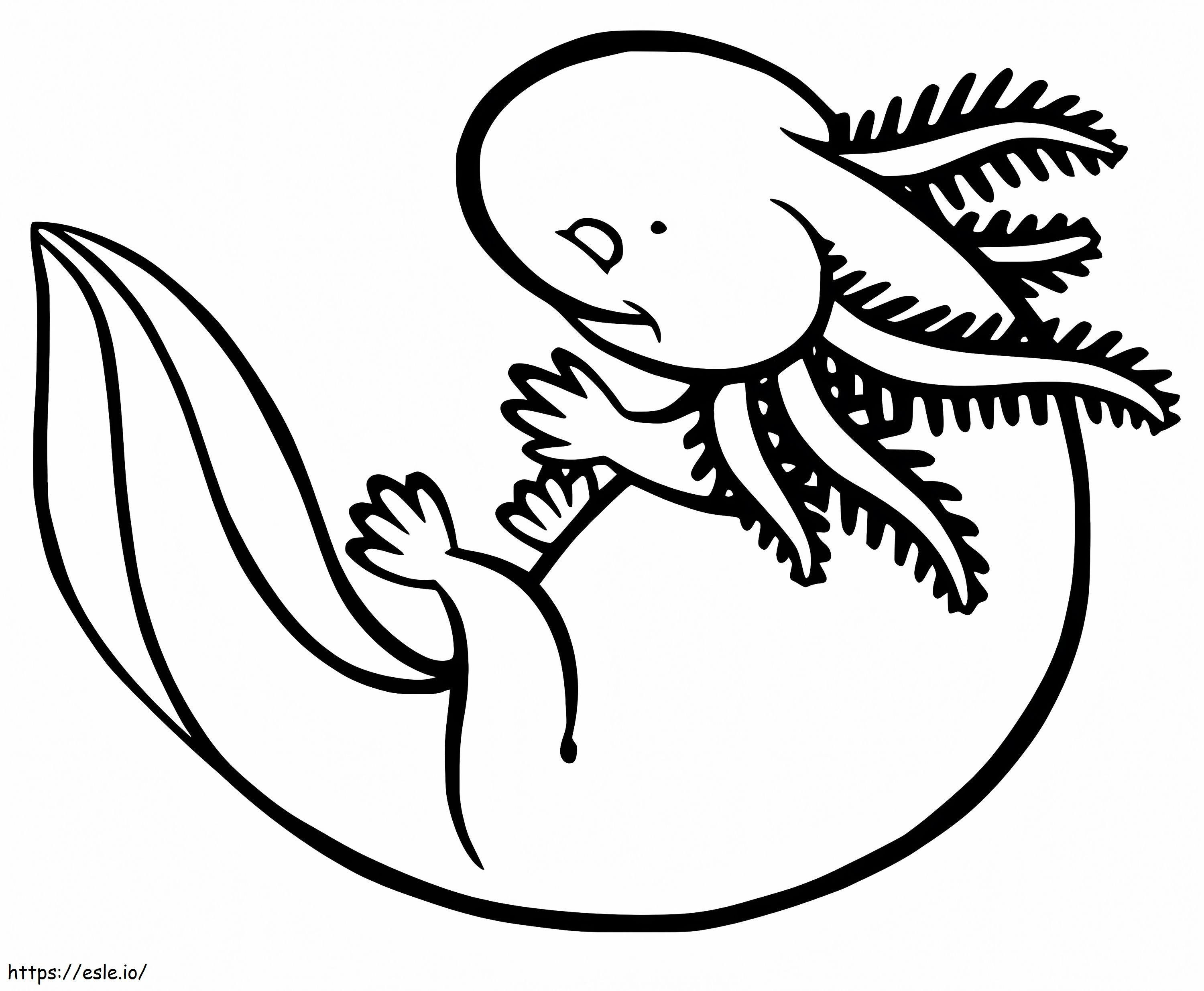 Axolotl kecil Gambar Mewarnai