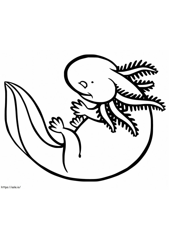 Little Axolotl coloring page