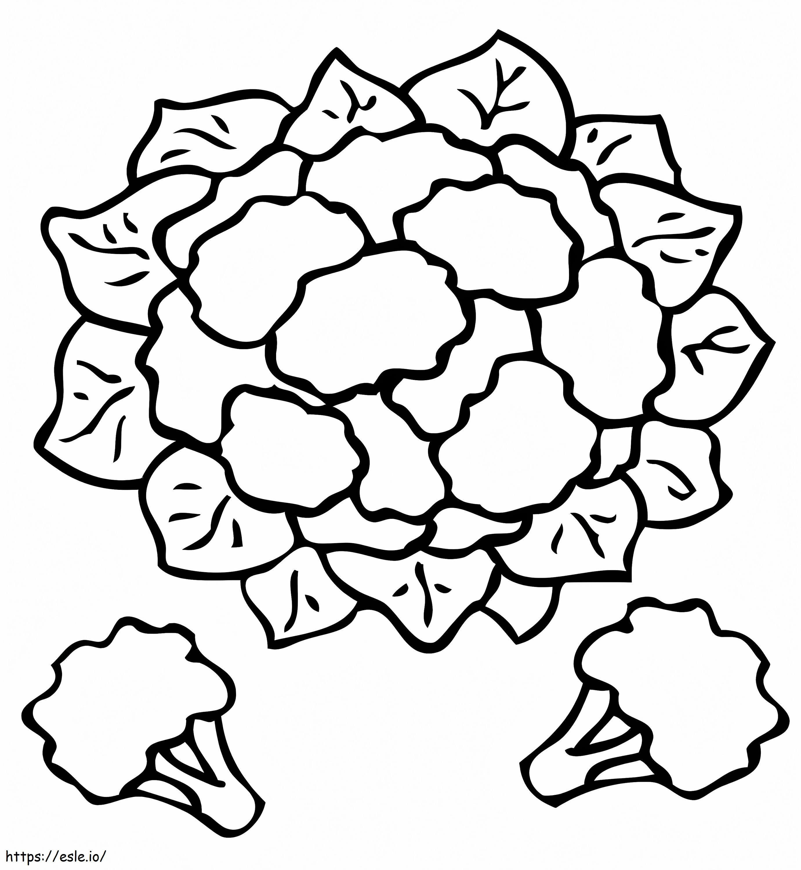 Printable Cauliflower coloring page