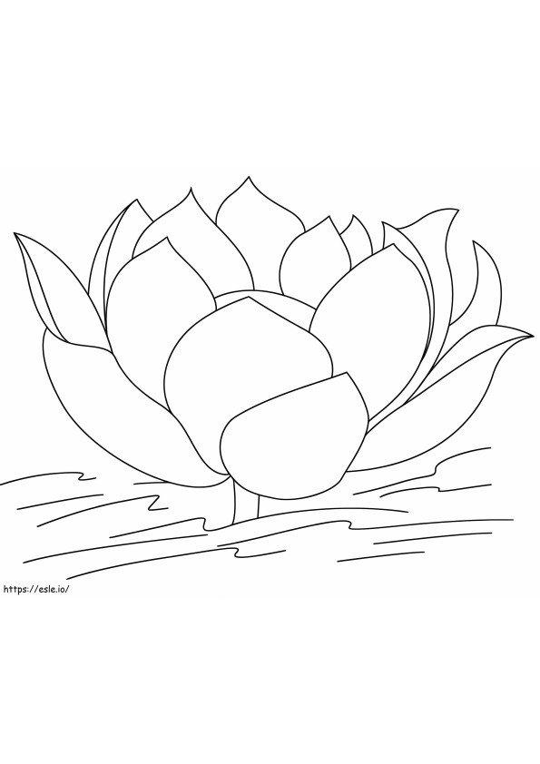 Lovely Lotus coloring page