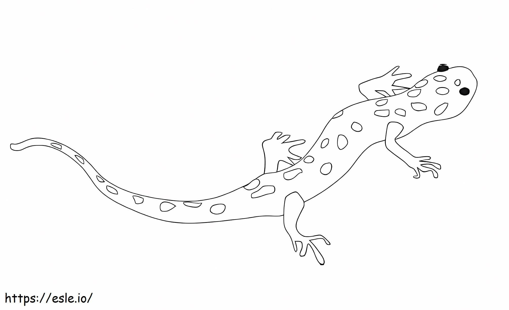 Coloriage Reptiles à imprimer dessin