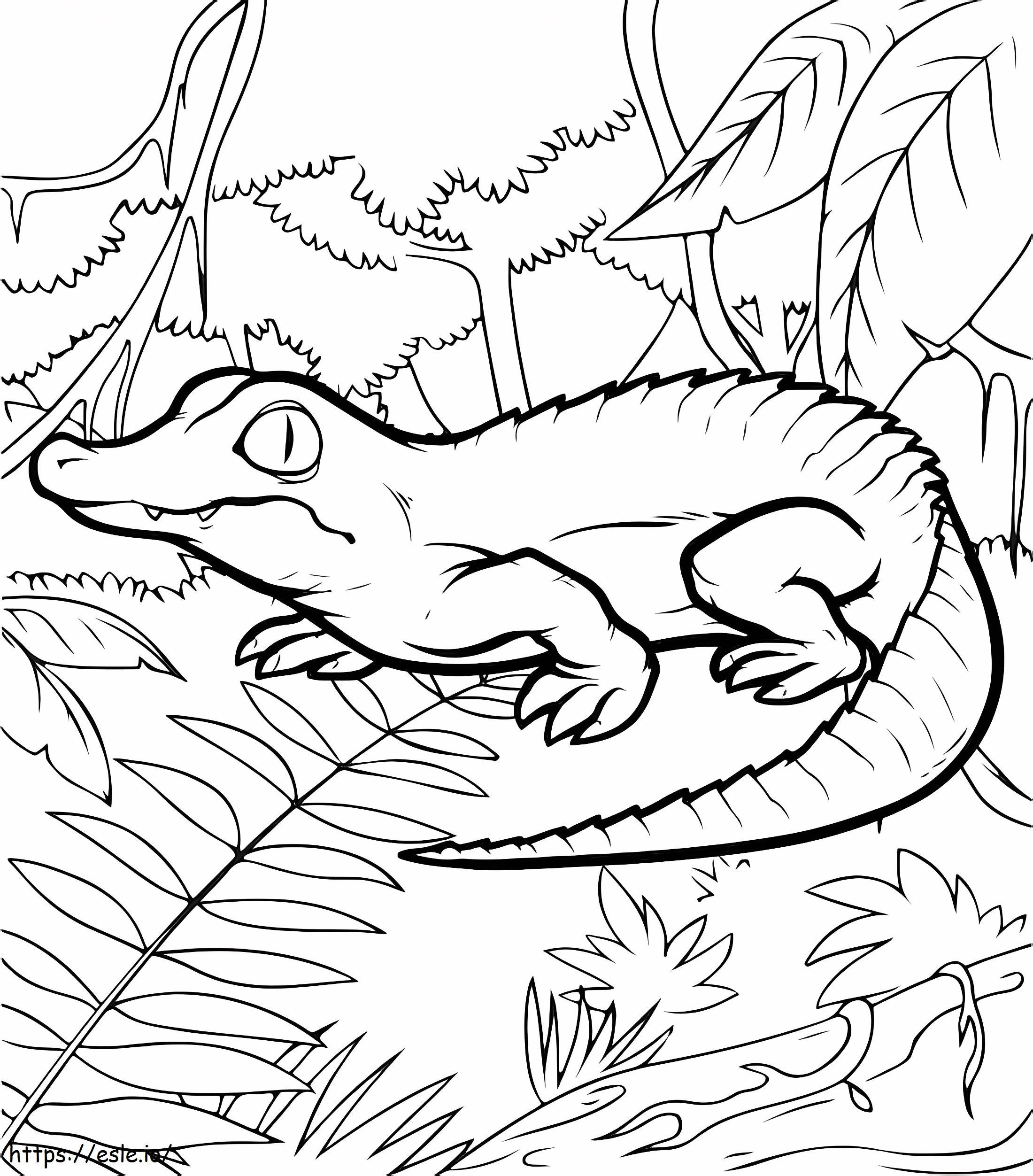 Krokodil In Het Bos kleurplaat kleurplaat