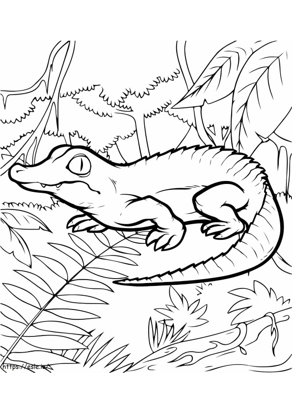 Crocodil În Pădure de colorat