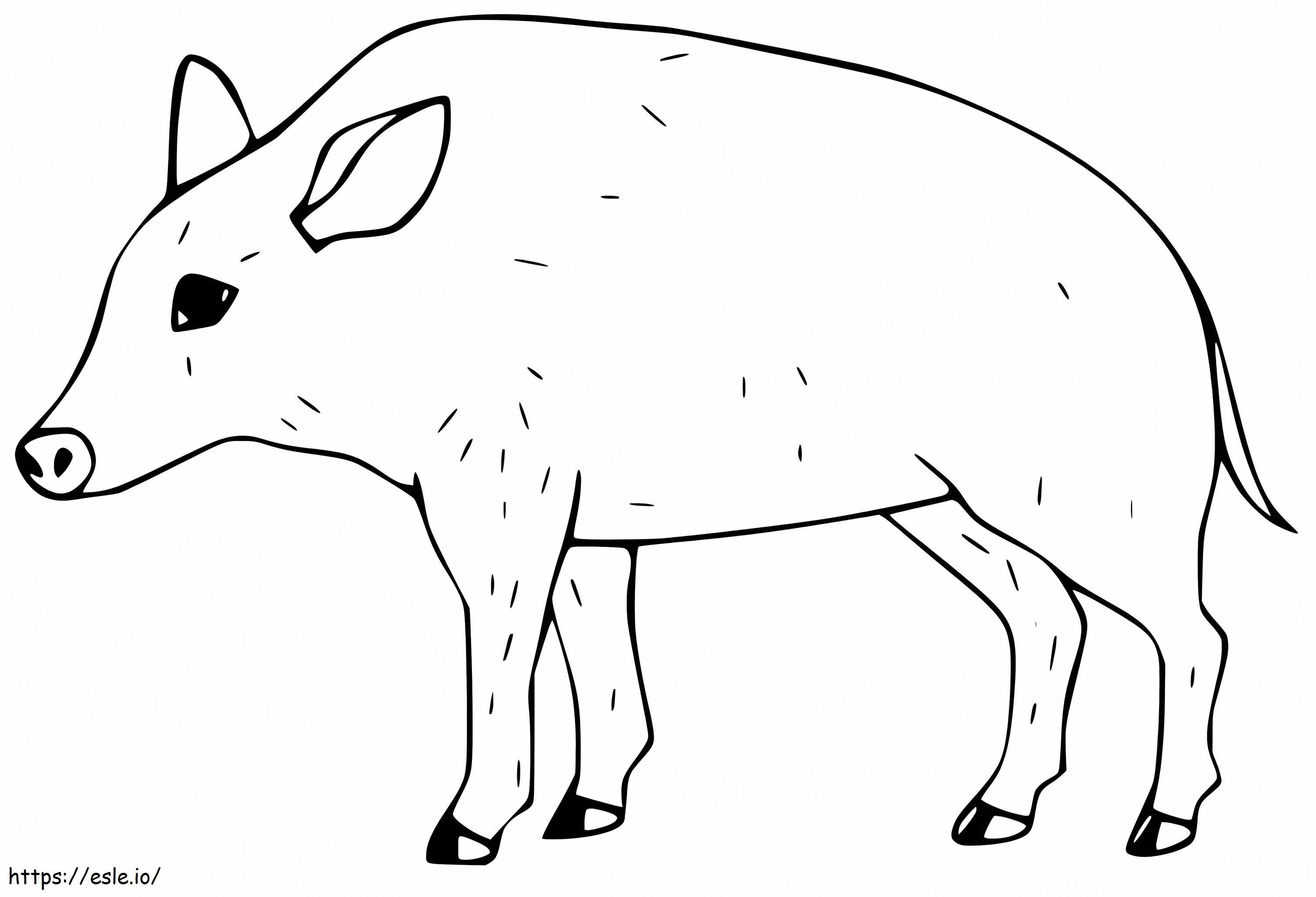 Little Peccary coloring page
