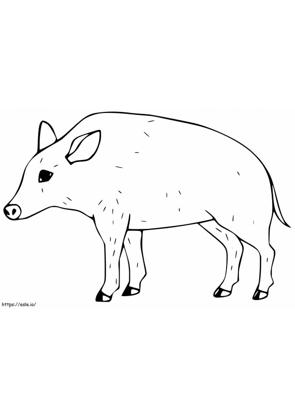 Little Peccary coloring page