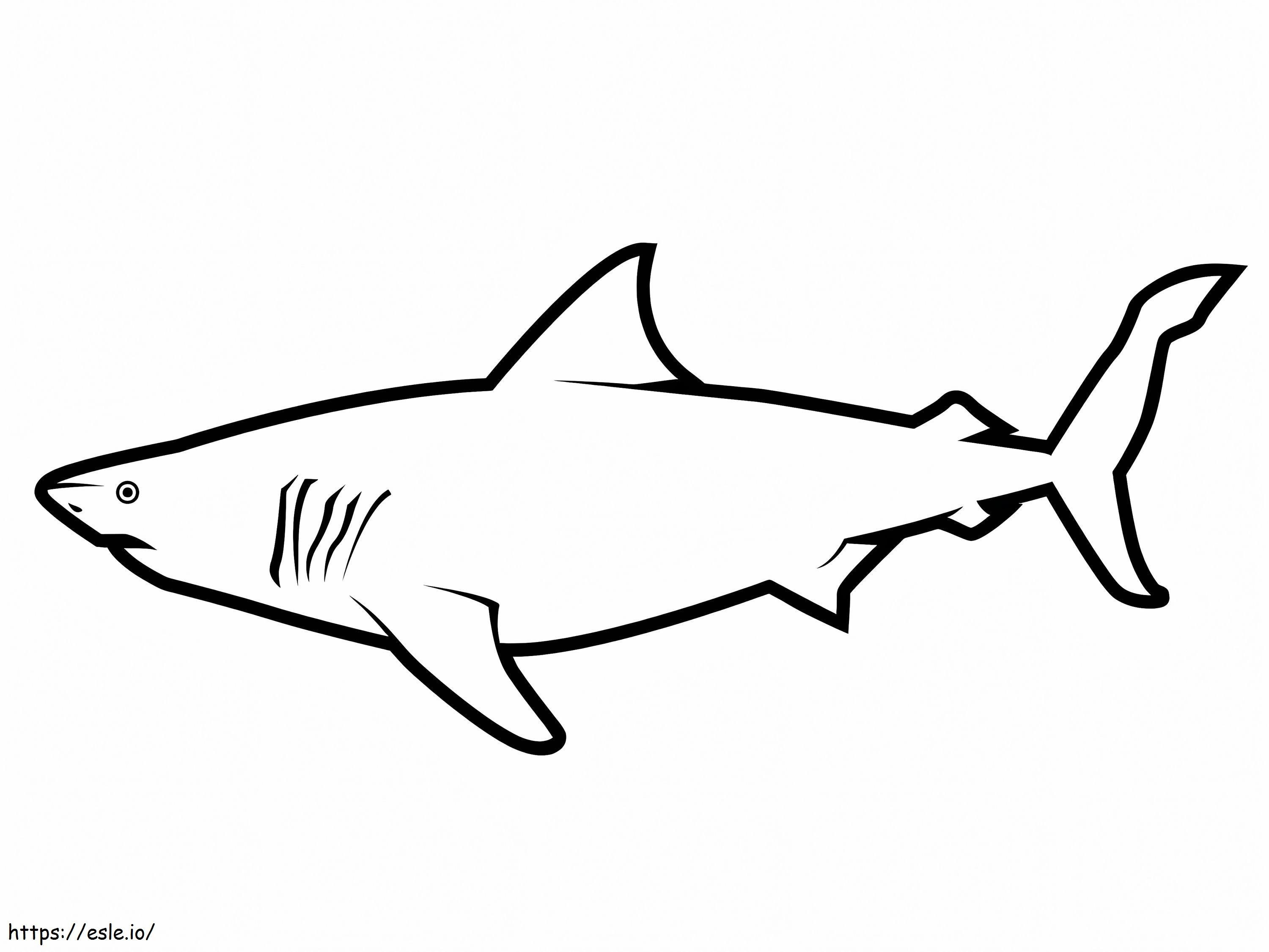 シンプルなホオジロザメ ぬりえ - 塗り絵