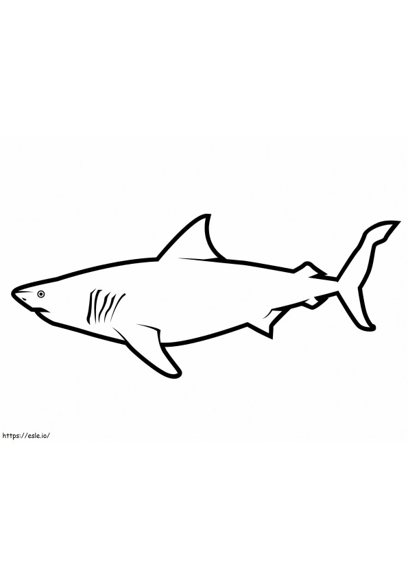 Tubarão branco simples para colorir
