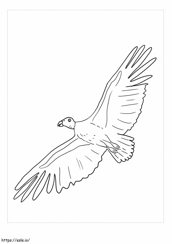 Coloriage Vol Condor à imprimer dessin